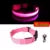Colar de Led para Pets
